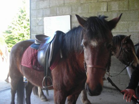 ramdam du goyen au poney club